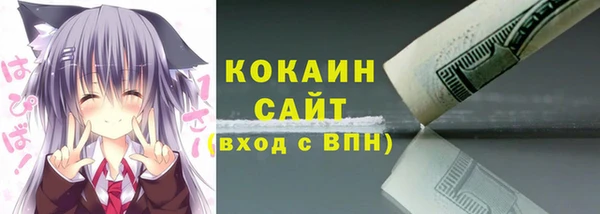 дмт Касимов