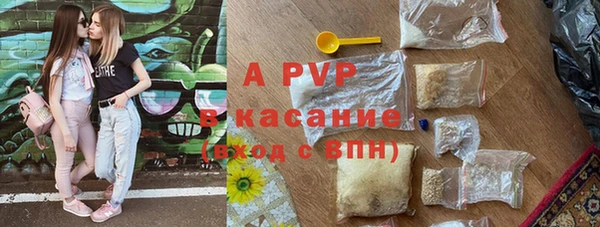 PSILOCYBIN Карпинск