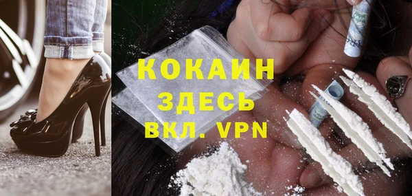 дмт Касимов